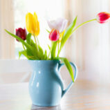 Home Staging in the Spring