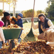 A Better Alternative to Bagging Raked Leaves